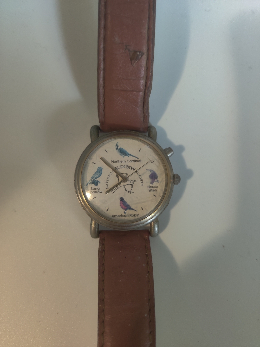 VTG National Audubon Society Singing Bird Watch Brown Leather Band Gold Plate